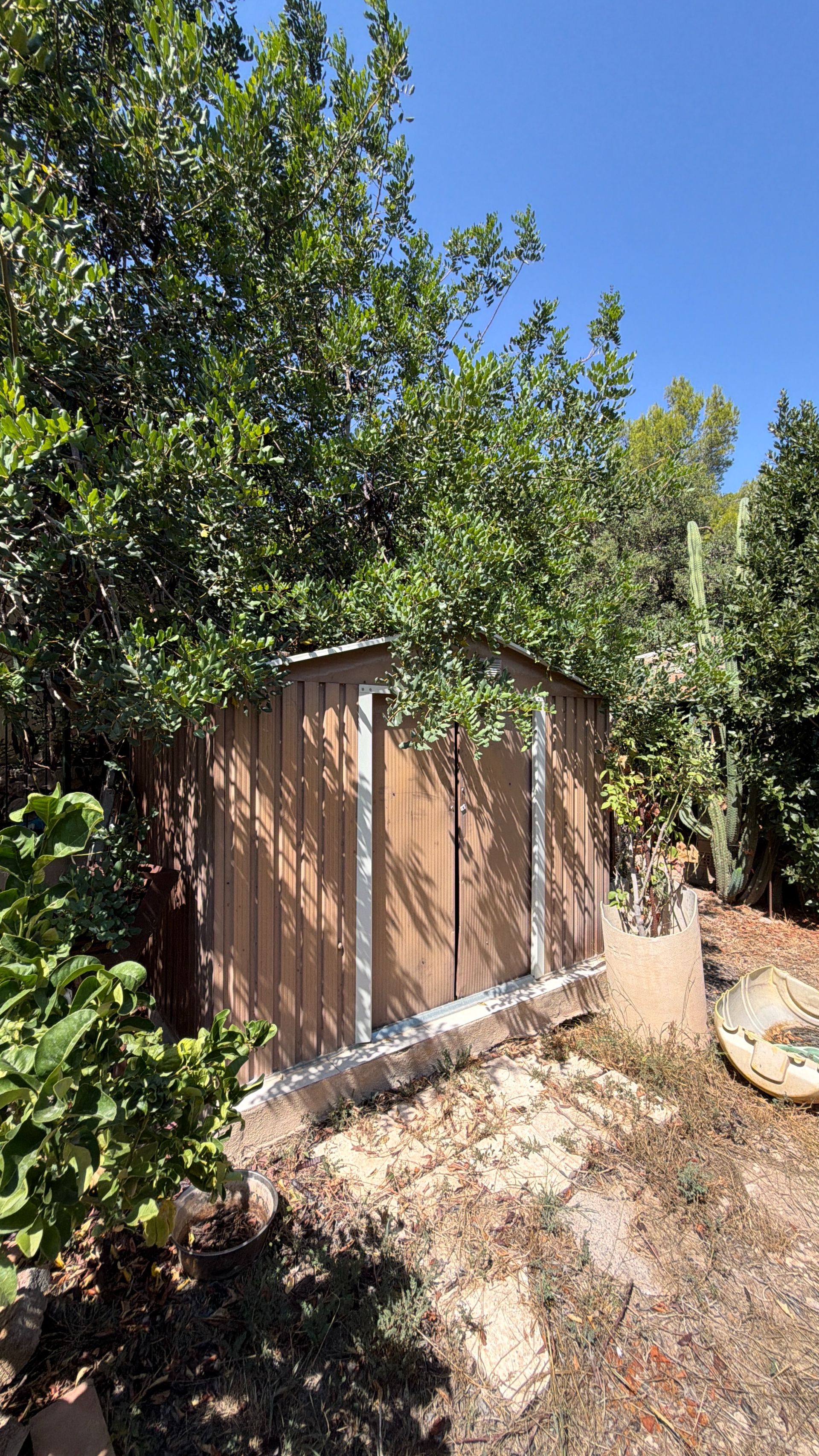 ++ Finca rustical en Vandellos ++ - Image 18